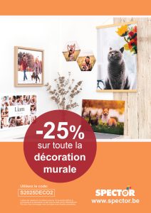 Promo déco murale octobre 2025